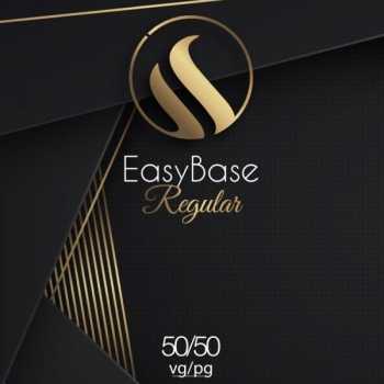 EasyBase Regular Baasvedelik